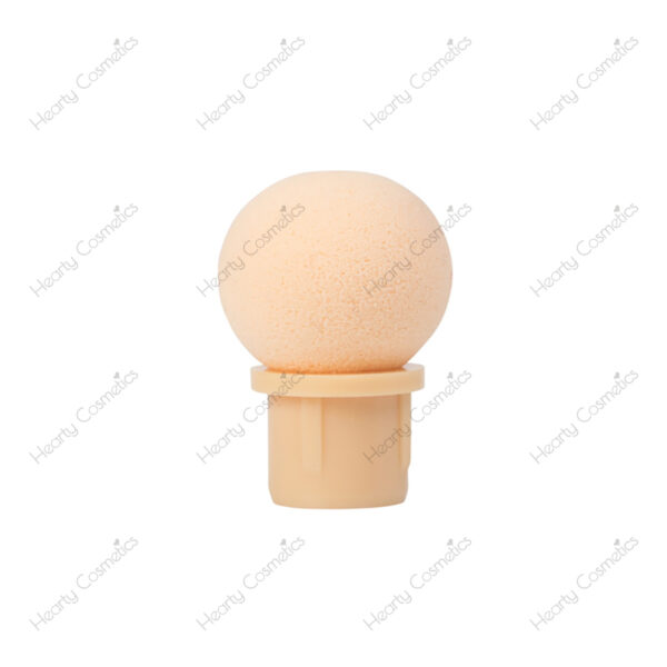 Ombre Sponge