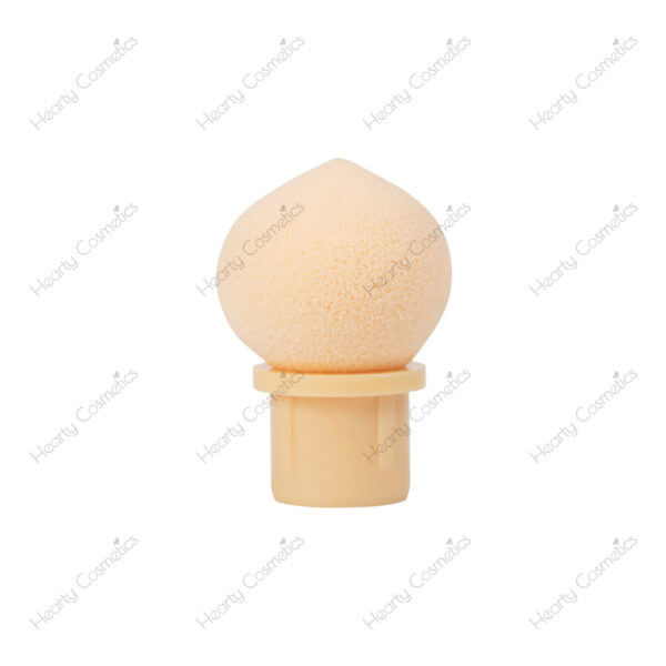 Ombre Sponge