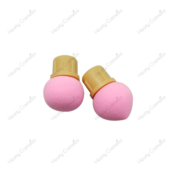 Ombre Sponge