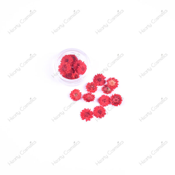 Dried Flowers