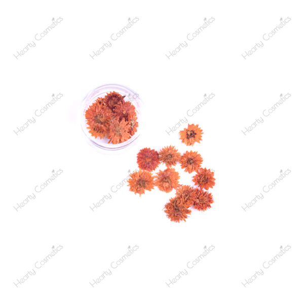 Dried Flowers