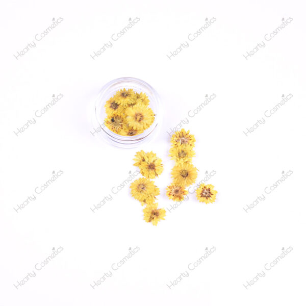Dried Flowers