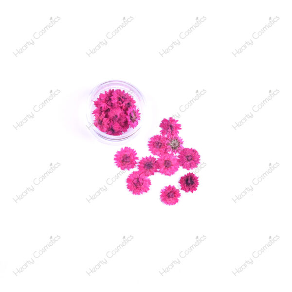 Dried Flowers