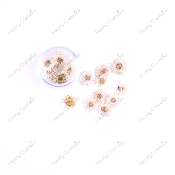 Dried Flowers