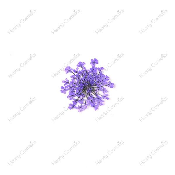 Dried Flowers