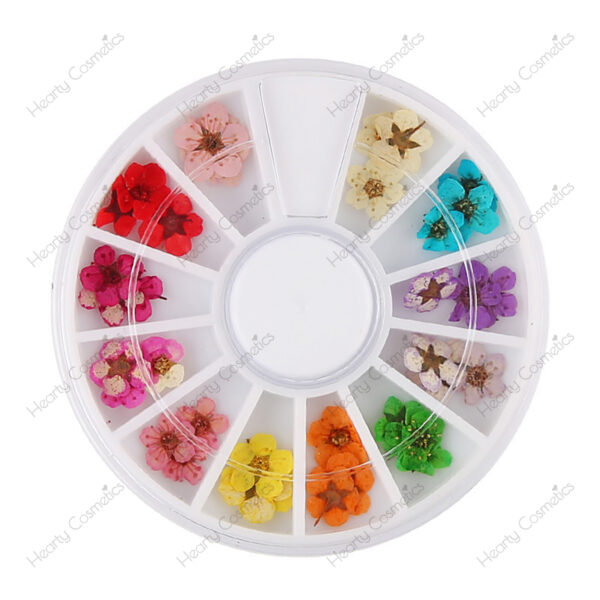 Dried Flowers