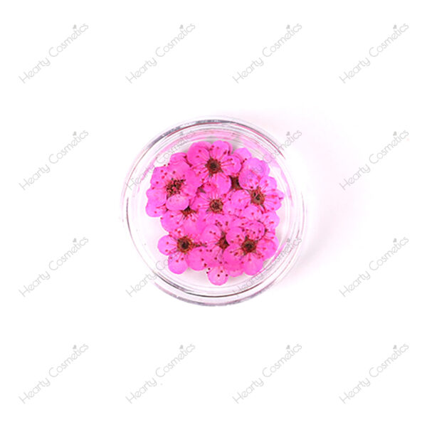 Dried Flowers
