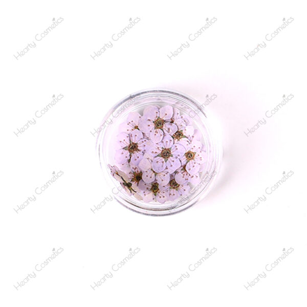 Dried Flowers