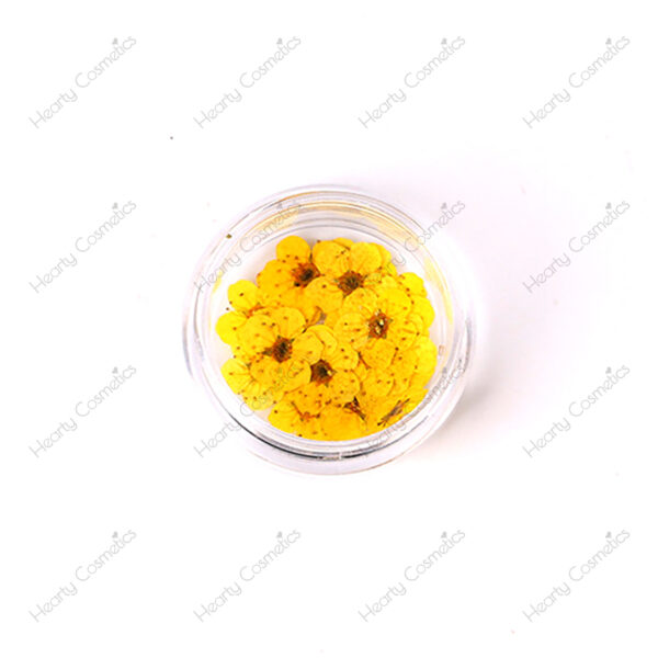 Dried Flowers