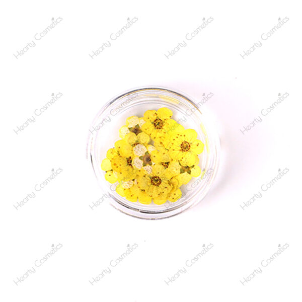 Dried Flowers