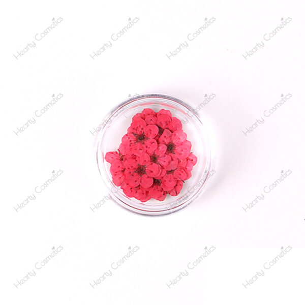 Dried Flowers