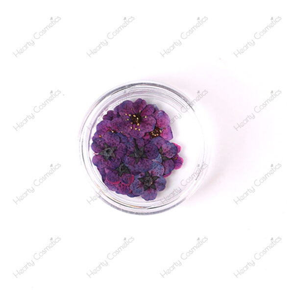 Dried Flowers
