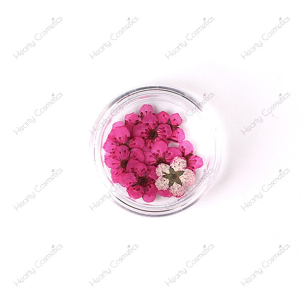 Dried Flowers