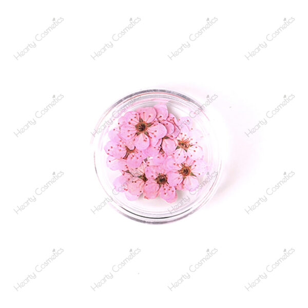 Dried Flowers