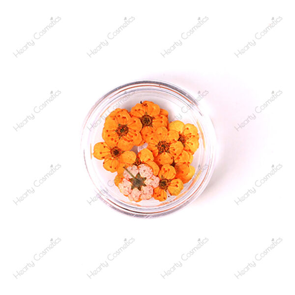 Dried Flowers